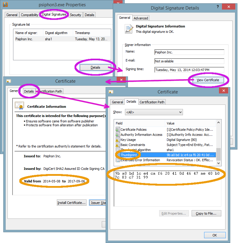 查找 Windows 版赛风的证书指纹所需的对话框流程